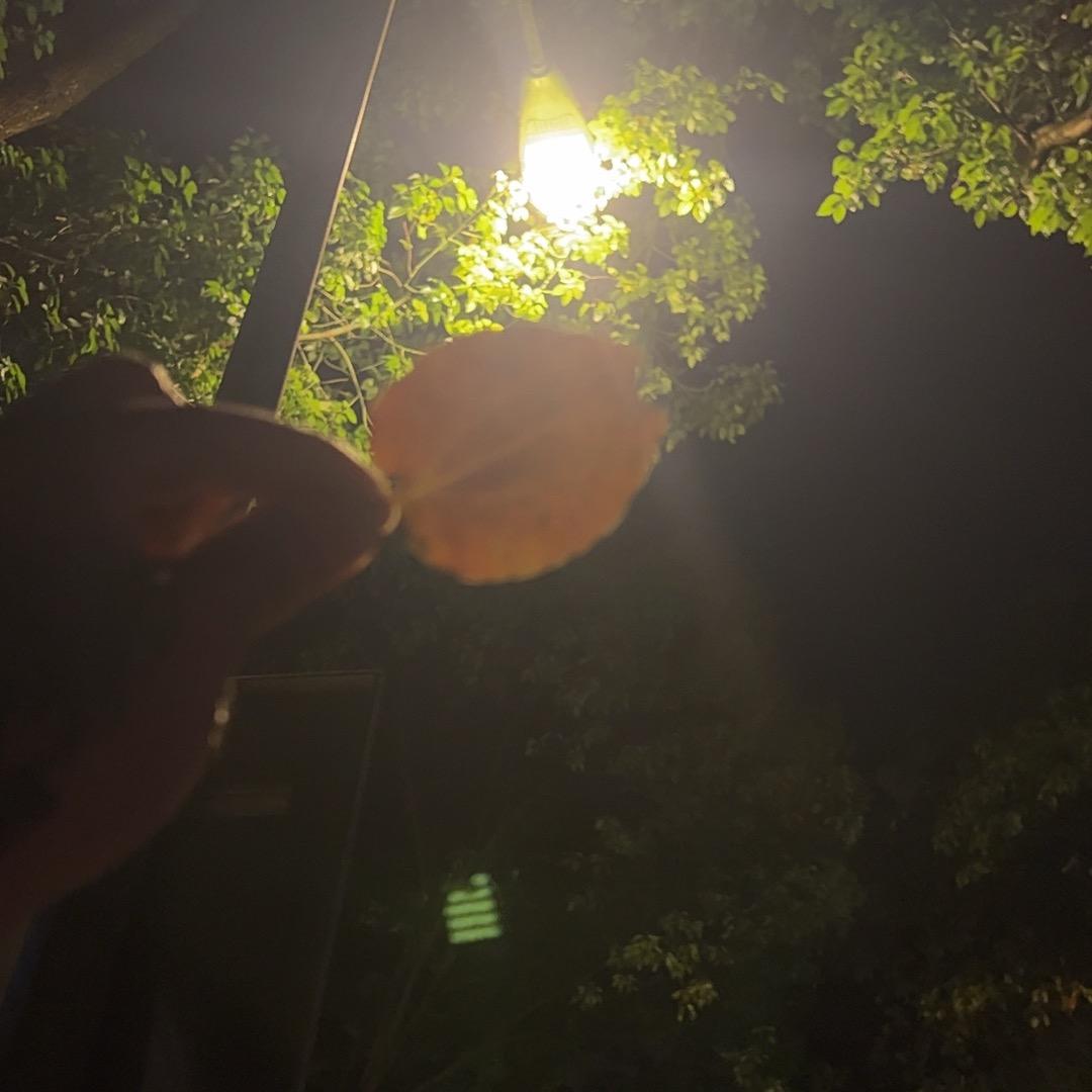 教父