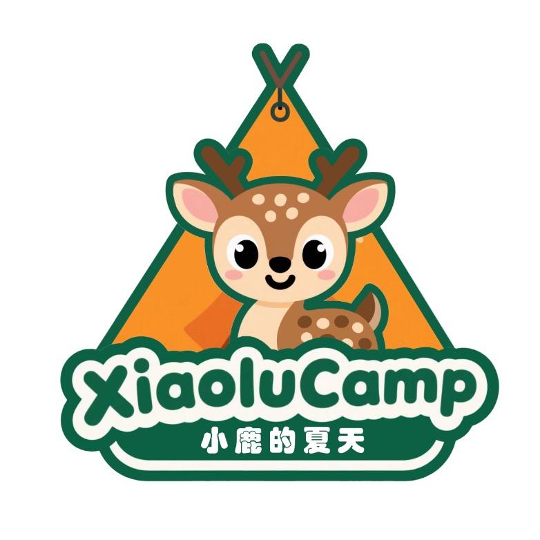 小鹿的夏天 星空营地 3