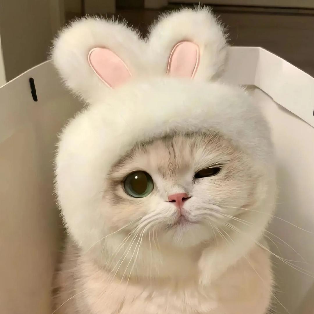 伊一.