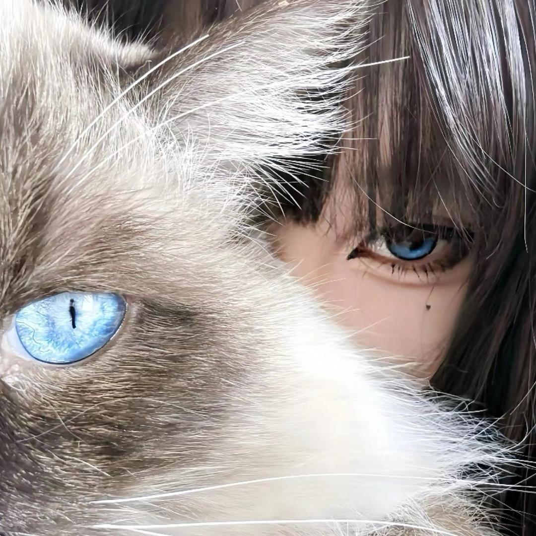 ❥ꦿ᭄跟我暧昧你也配