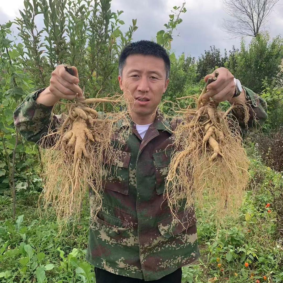 长白山参霖特产店