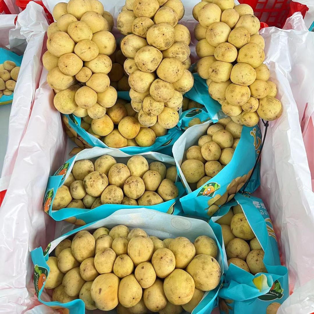 水果阿明-广州江南水果批发市场