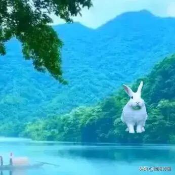 迦南诗画