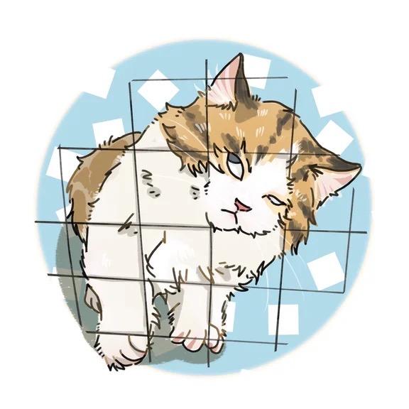 小丝是个矮脚猫