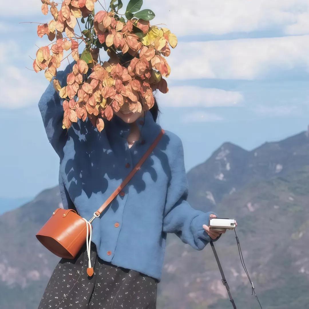 向日葵《王者荣耀》