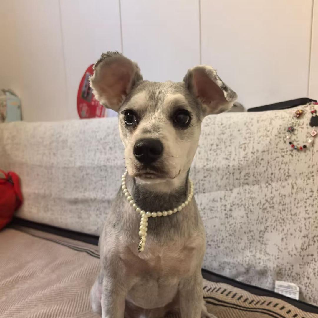 长江埠臭宝和琪琪