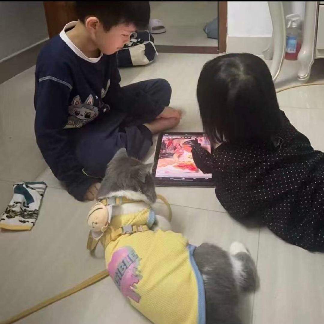 总被小孩骗