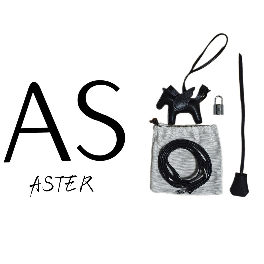 AS ASTER 定制