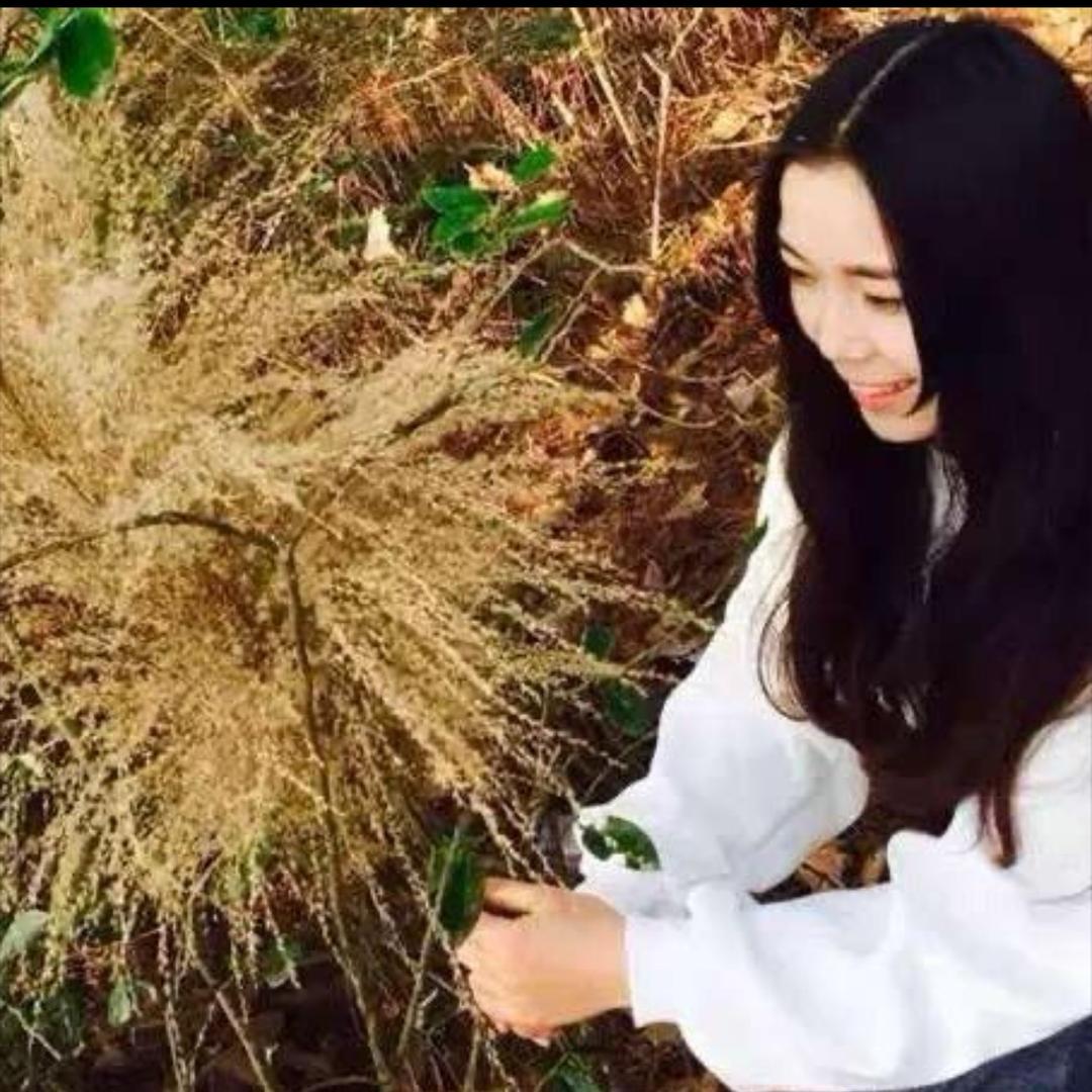 杨二娃