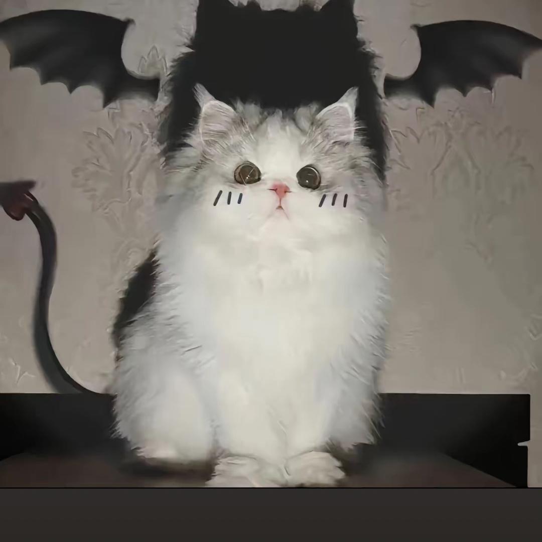 长生（国一马超）