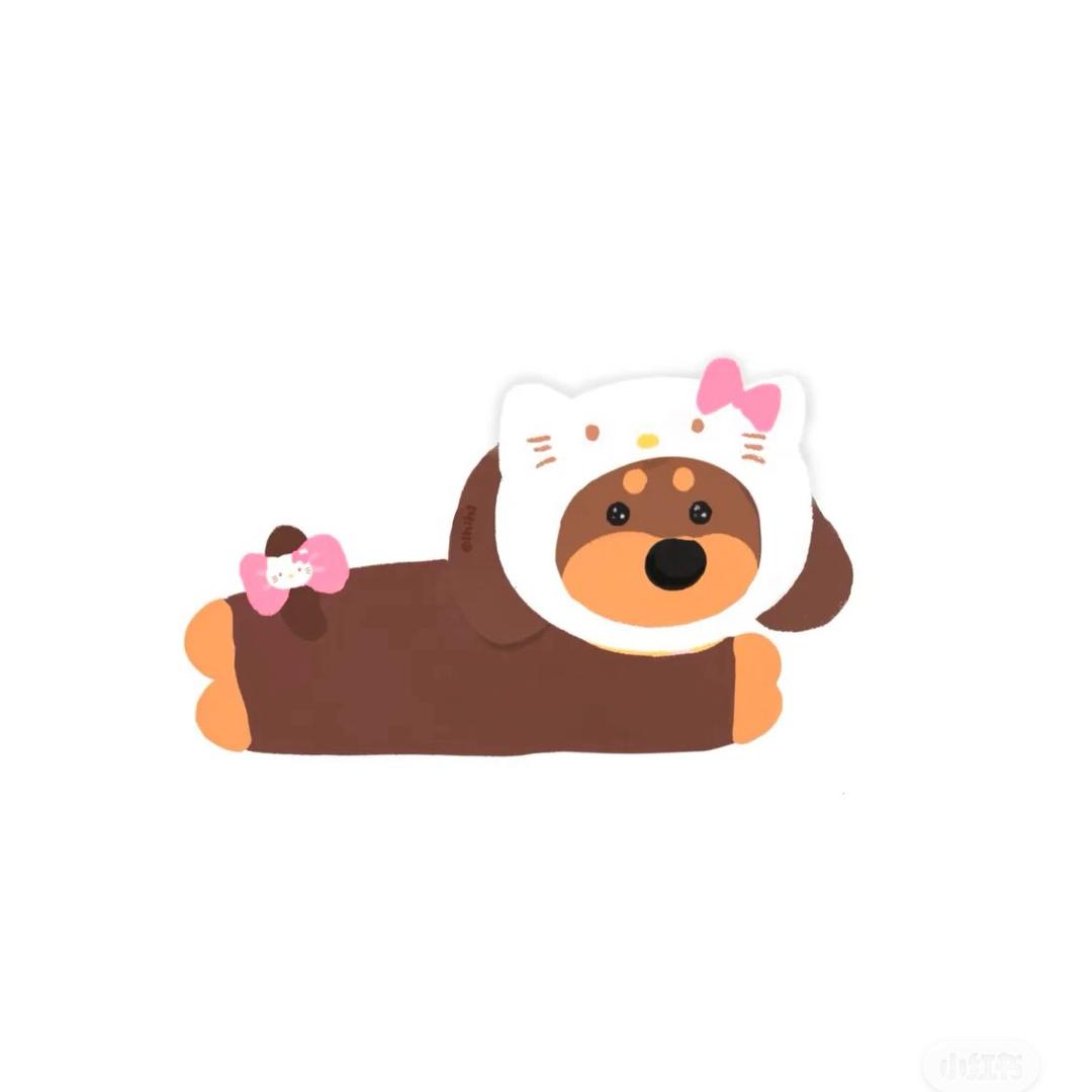 小张爱您