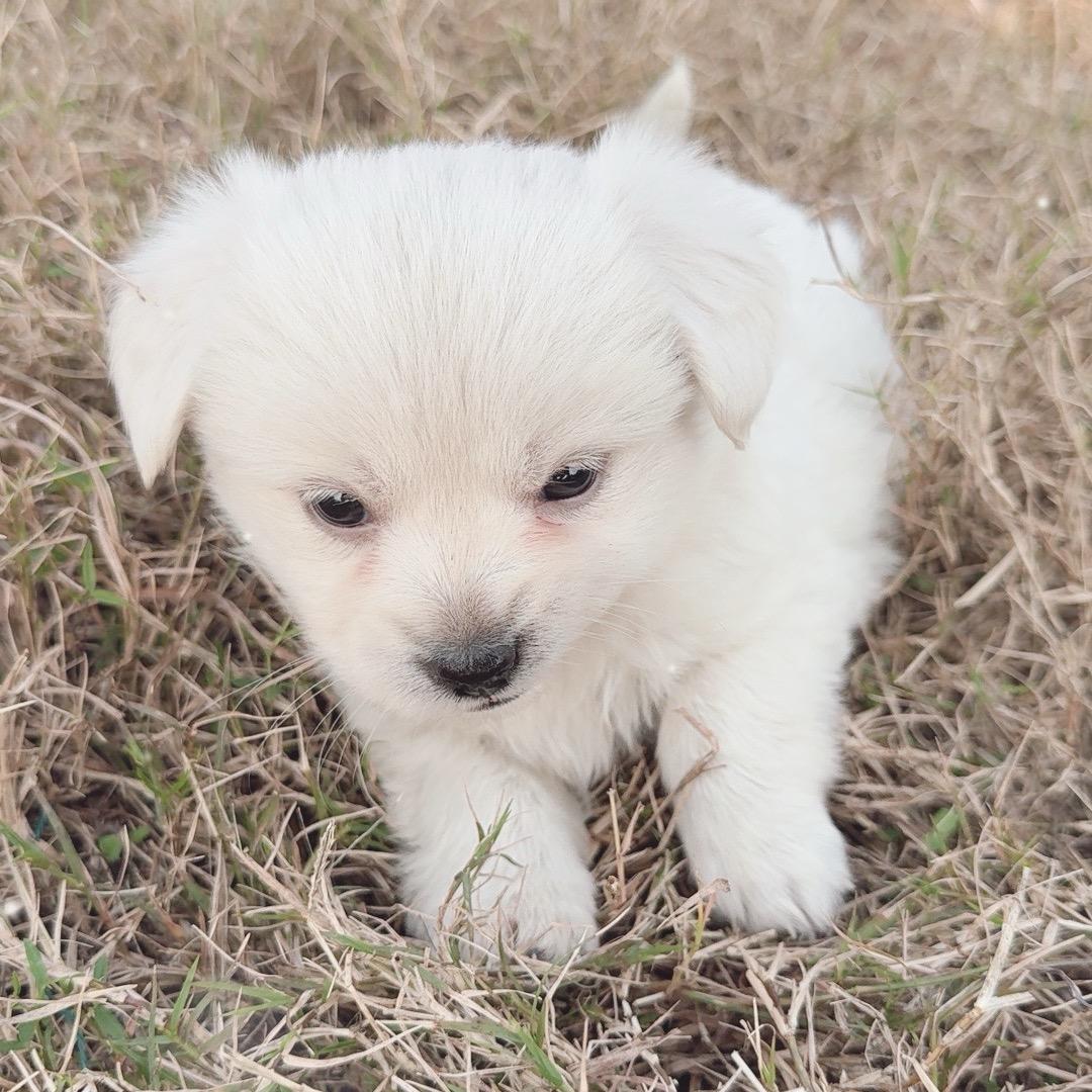 🎣钓鱼小哥⛷️🎣