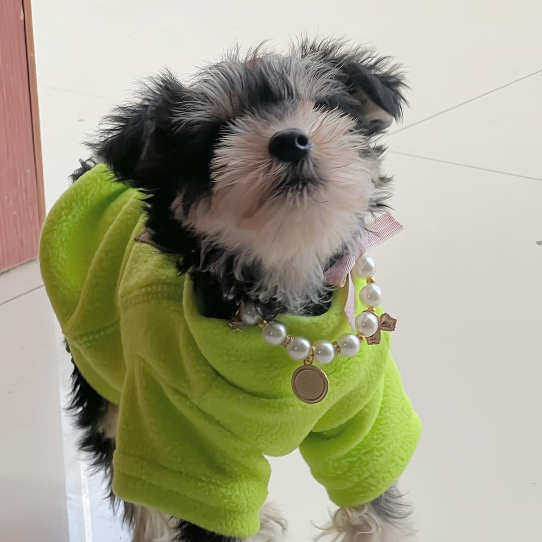 小七