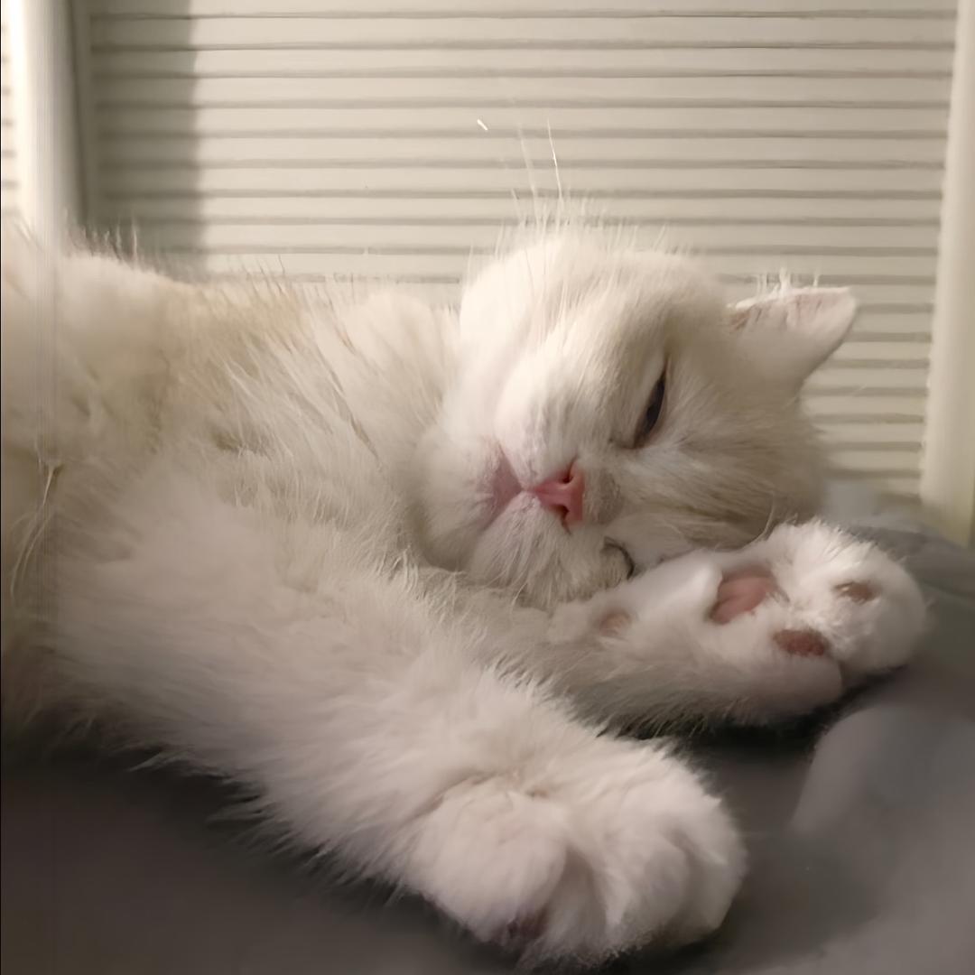 ㅤㅤㅤ  懿
