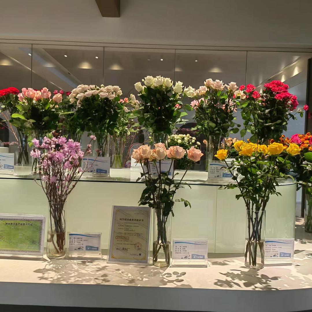 大王的花