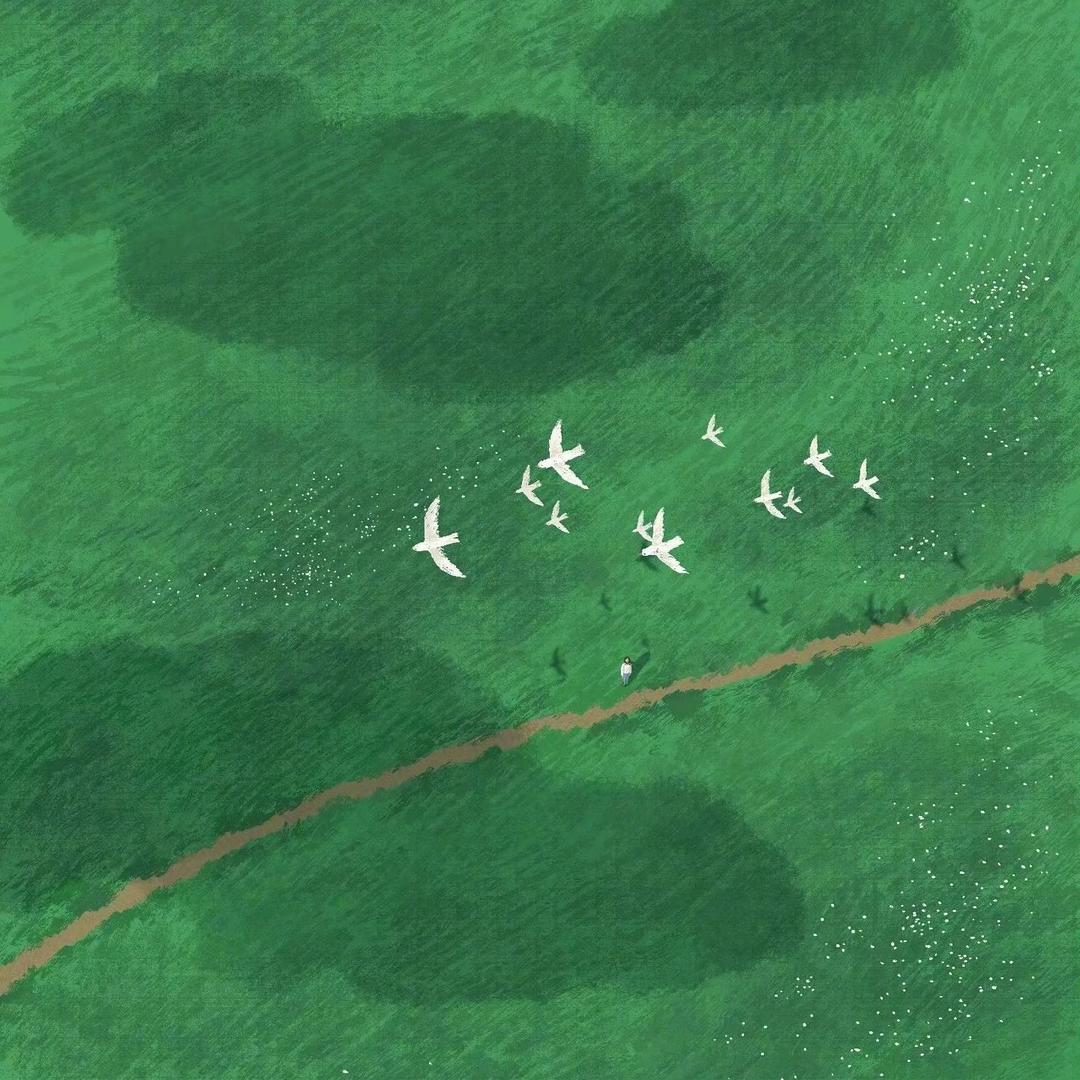 五福游