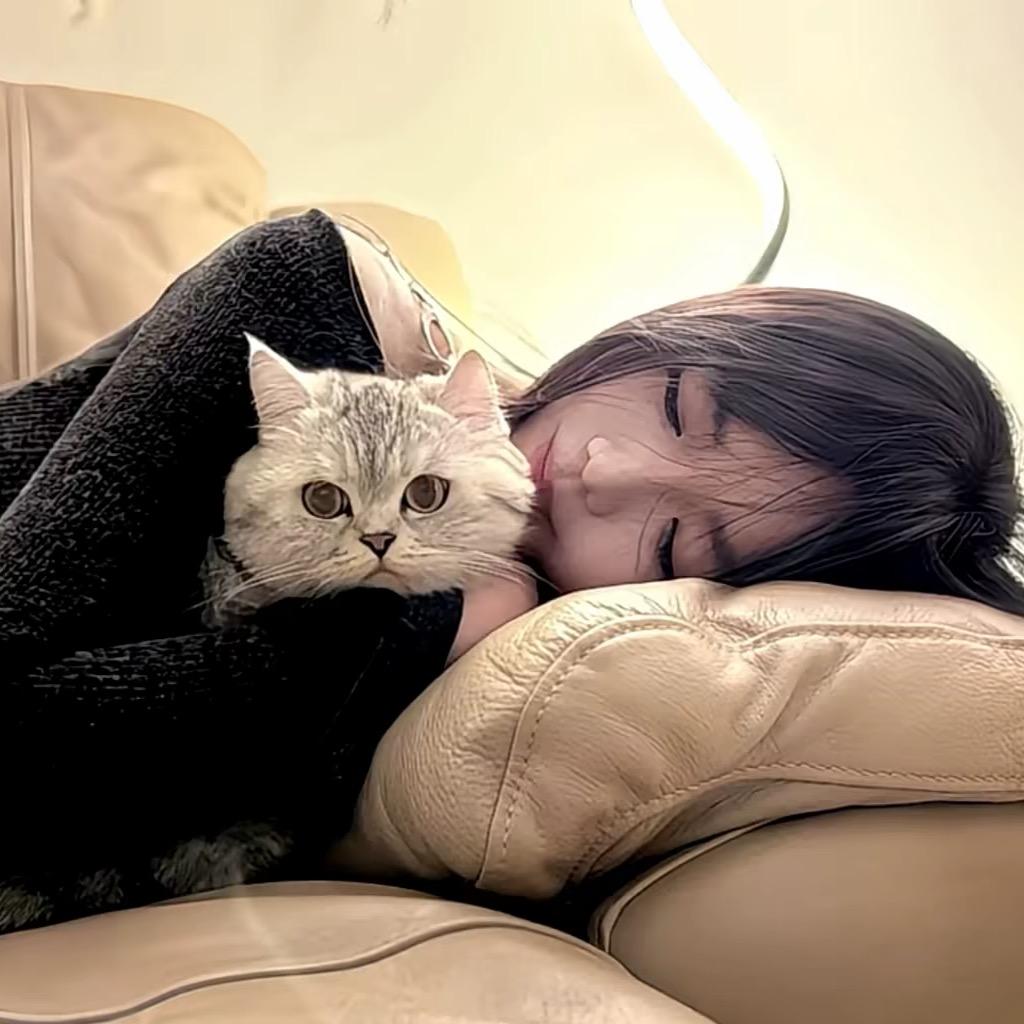 栾贝