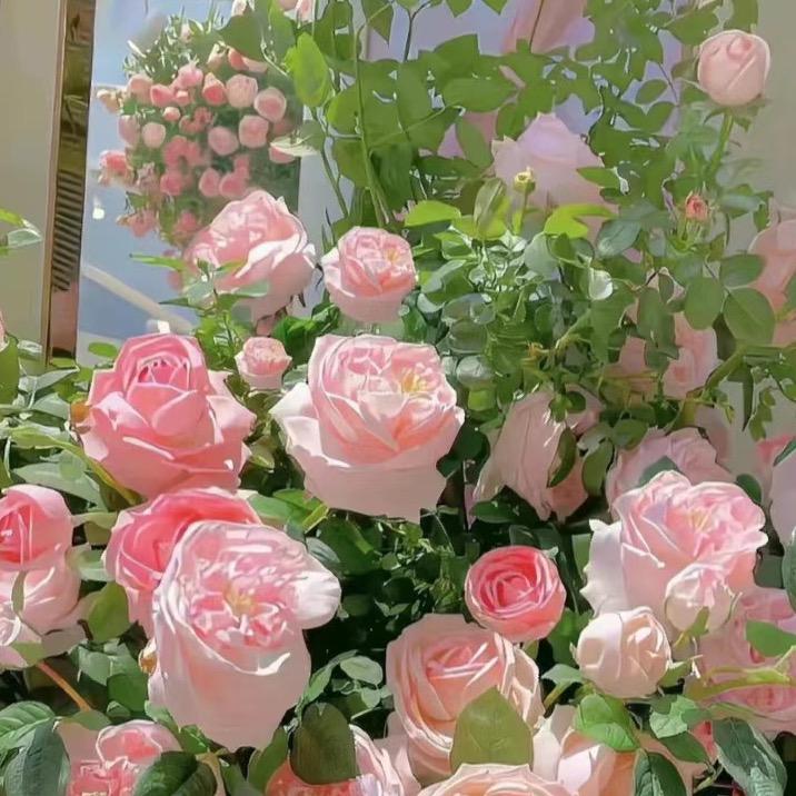 晶晶🧚🏻‍♀️