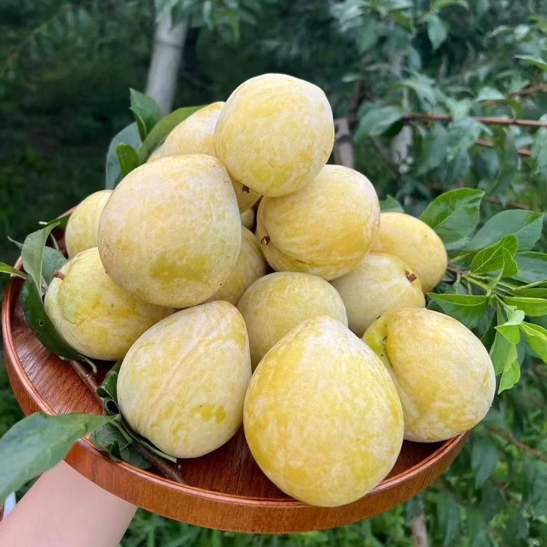给生活加点盐