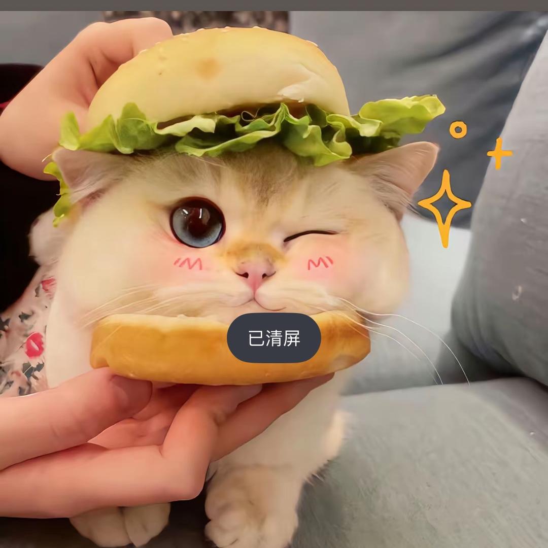拾柒呀.
