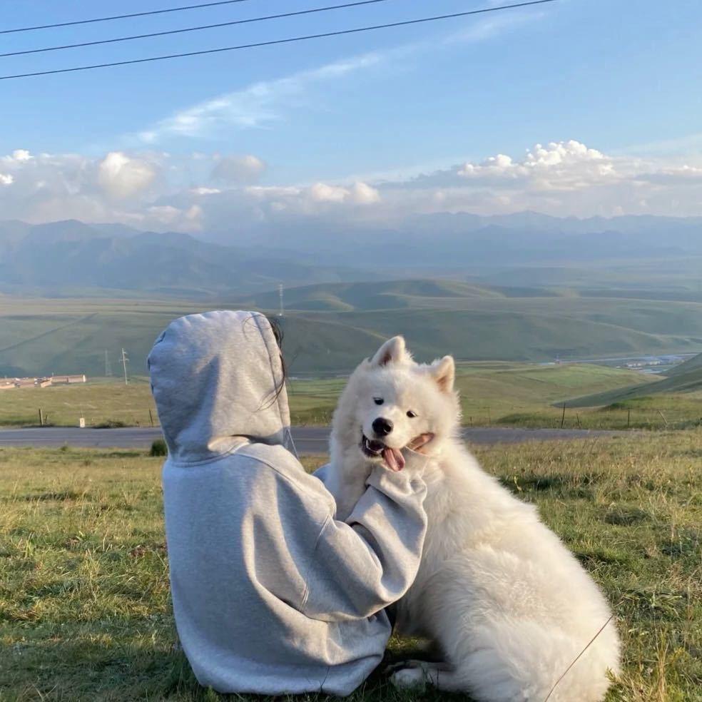 Happiness is themos