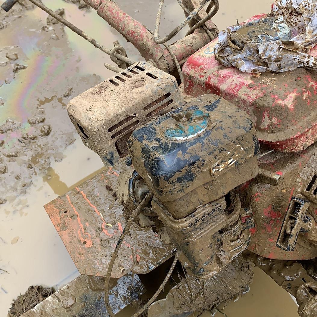 面朝黄土背朝天