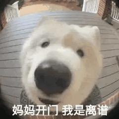 想吃麻辣拌