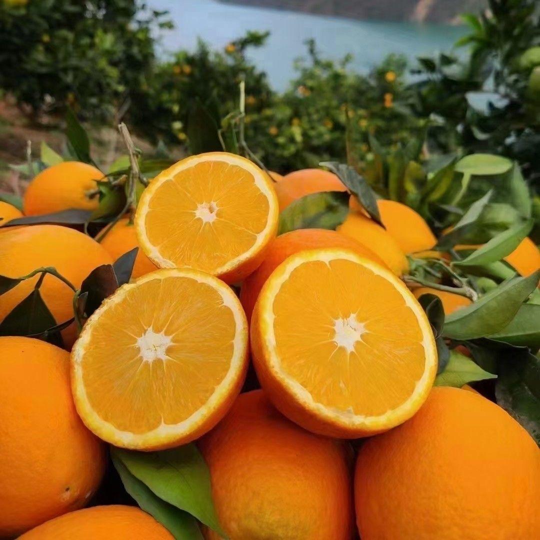 丰农生鲜农产品服务