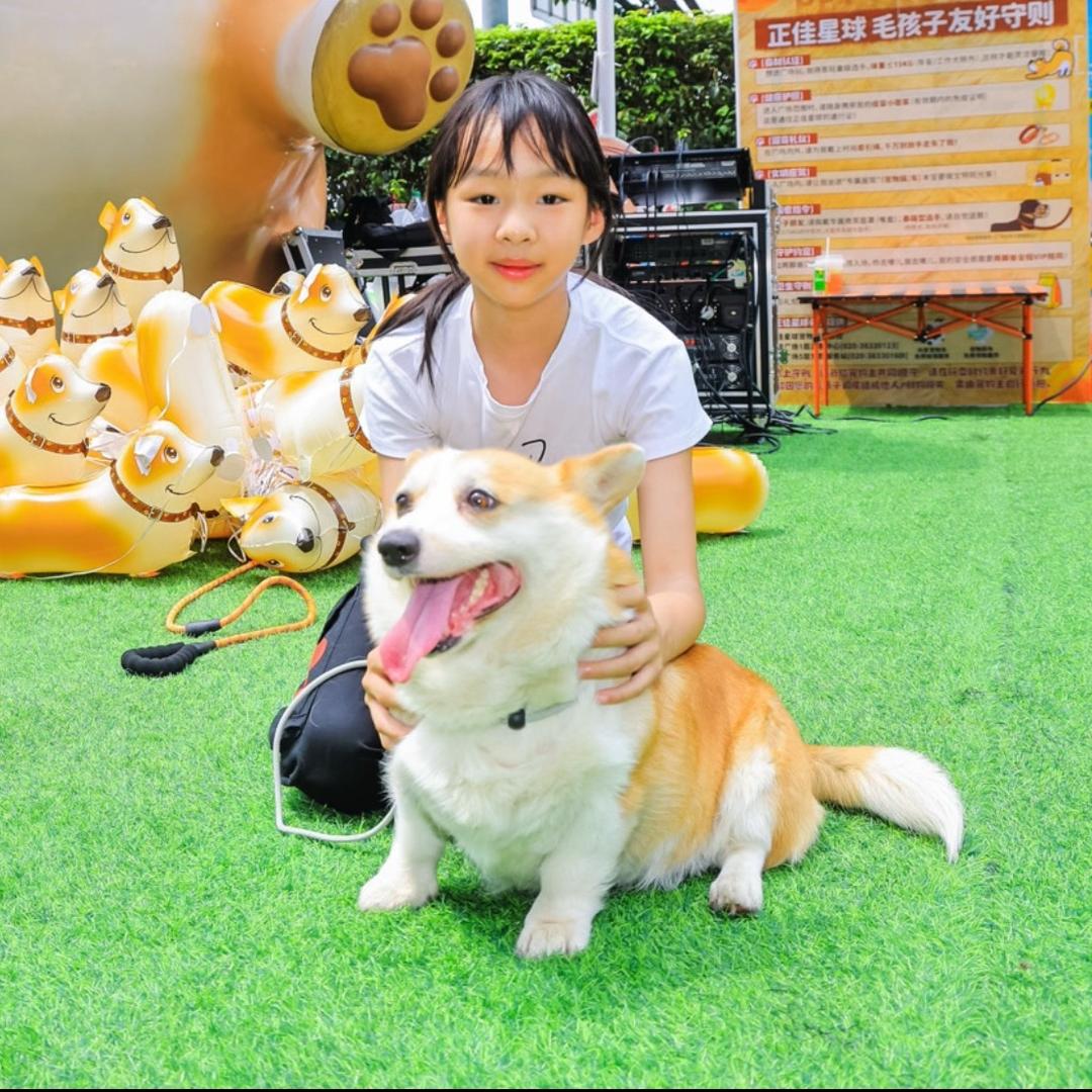 我滴个乖乖