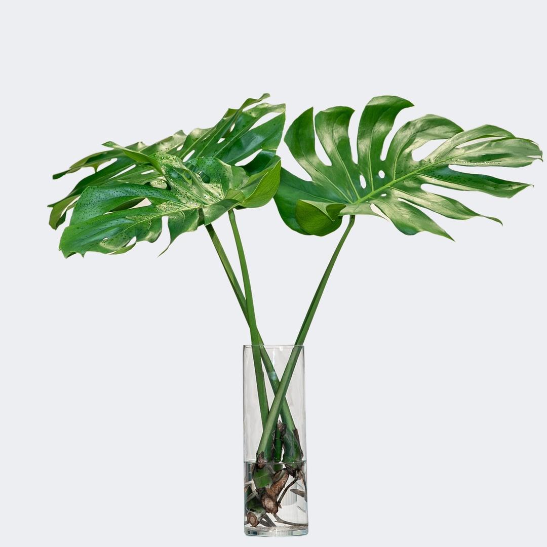 花乡诗园艺旗舰店