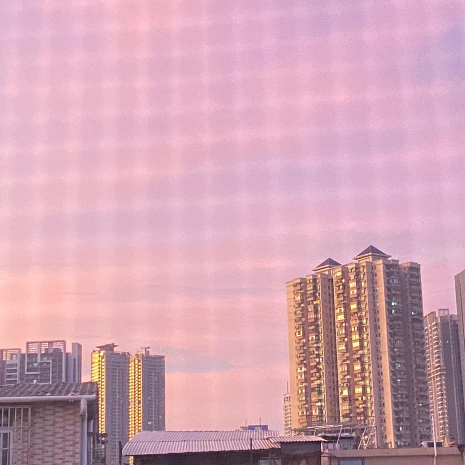 陈秋～