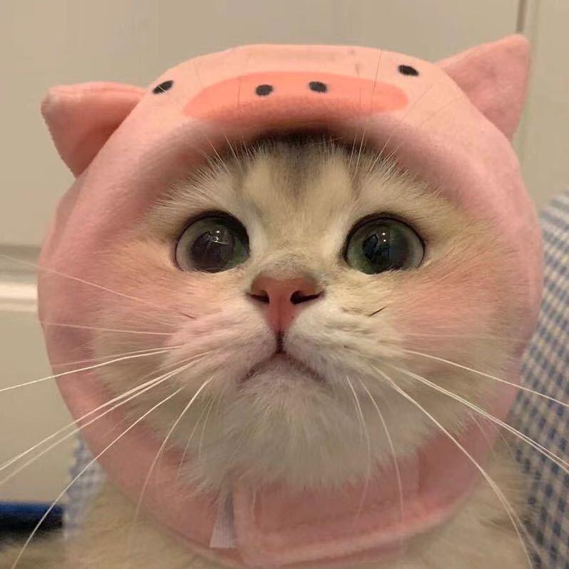 .烤个烤红薯-.