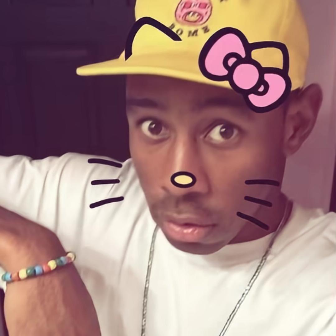 Meter  ᳐ 🐽  ᳐