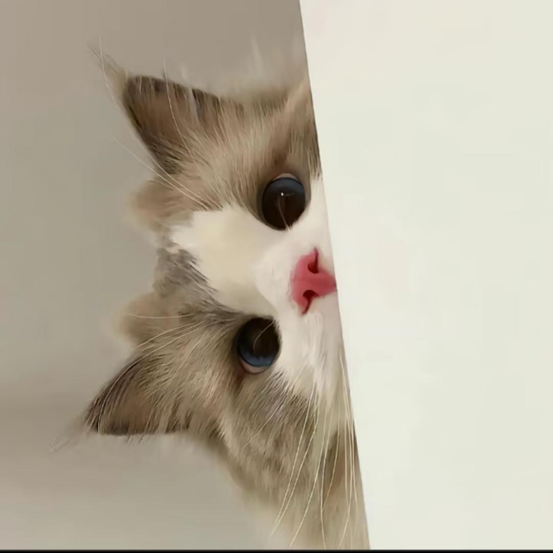 M,