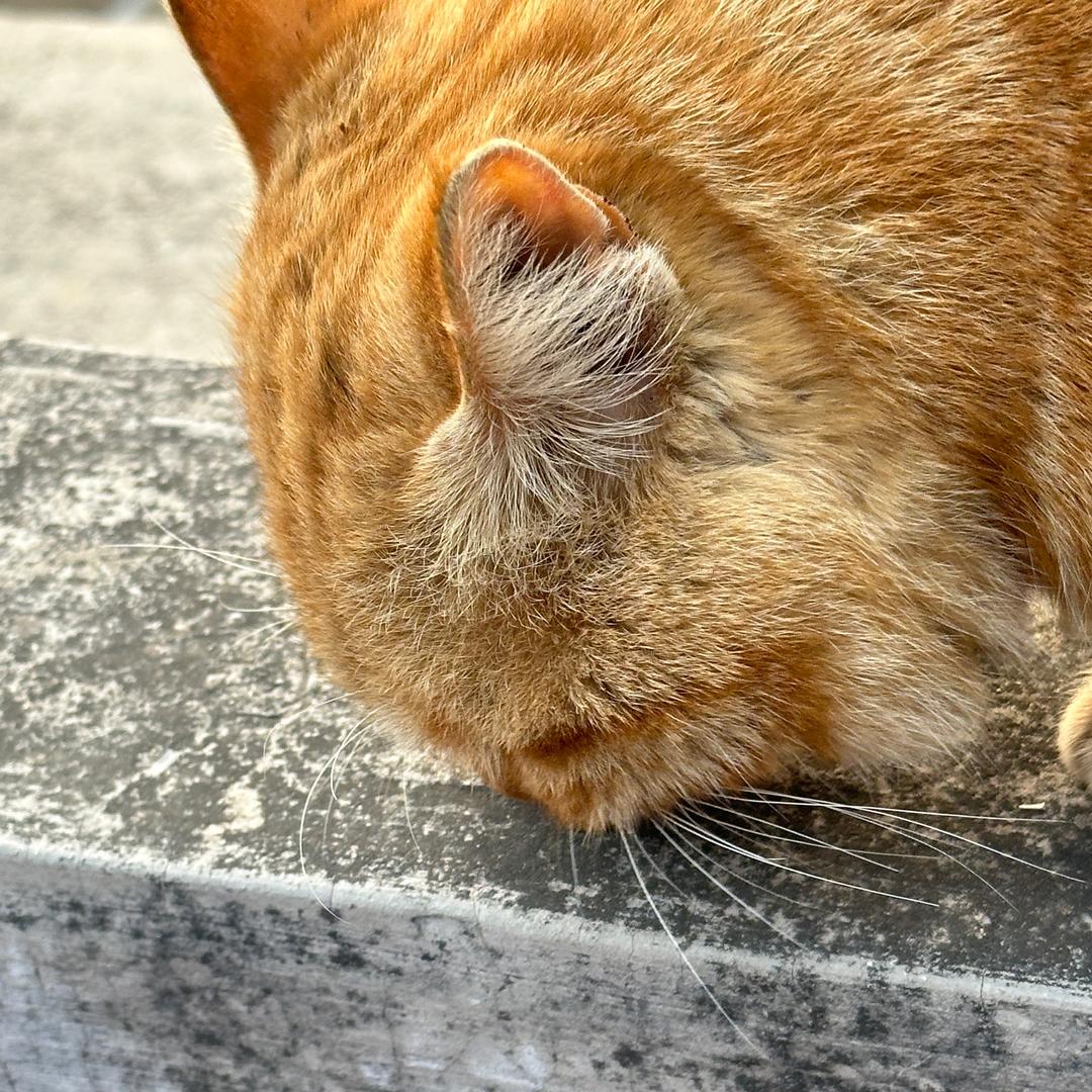 乐优跑刀俱乐部