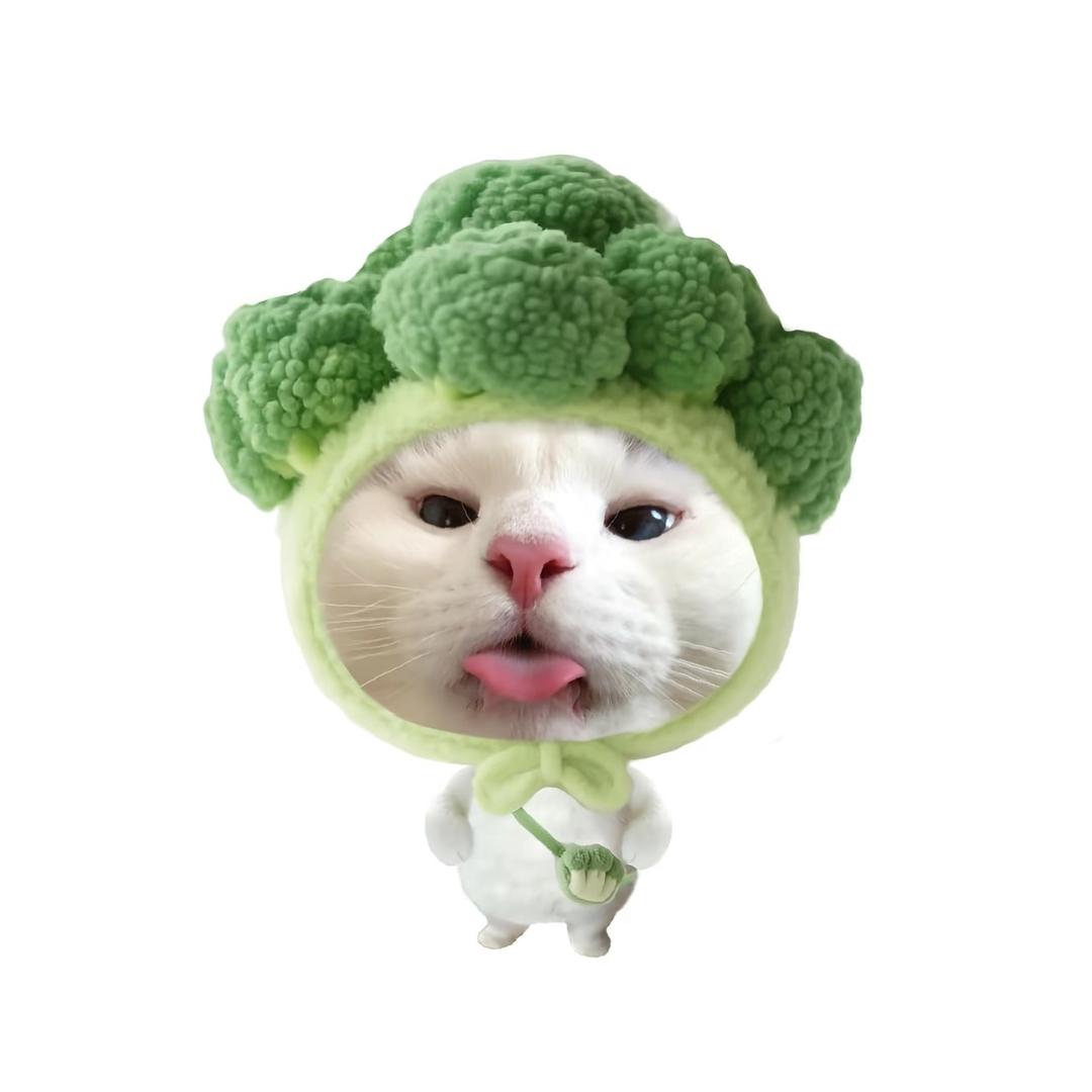 上网只为找对象