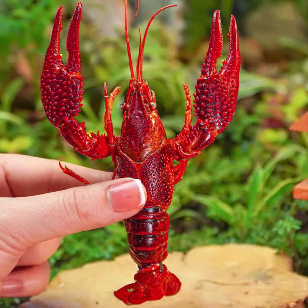 美嘉乐龙虾铺子（张阳店）