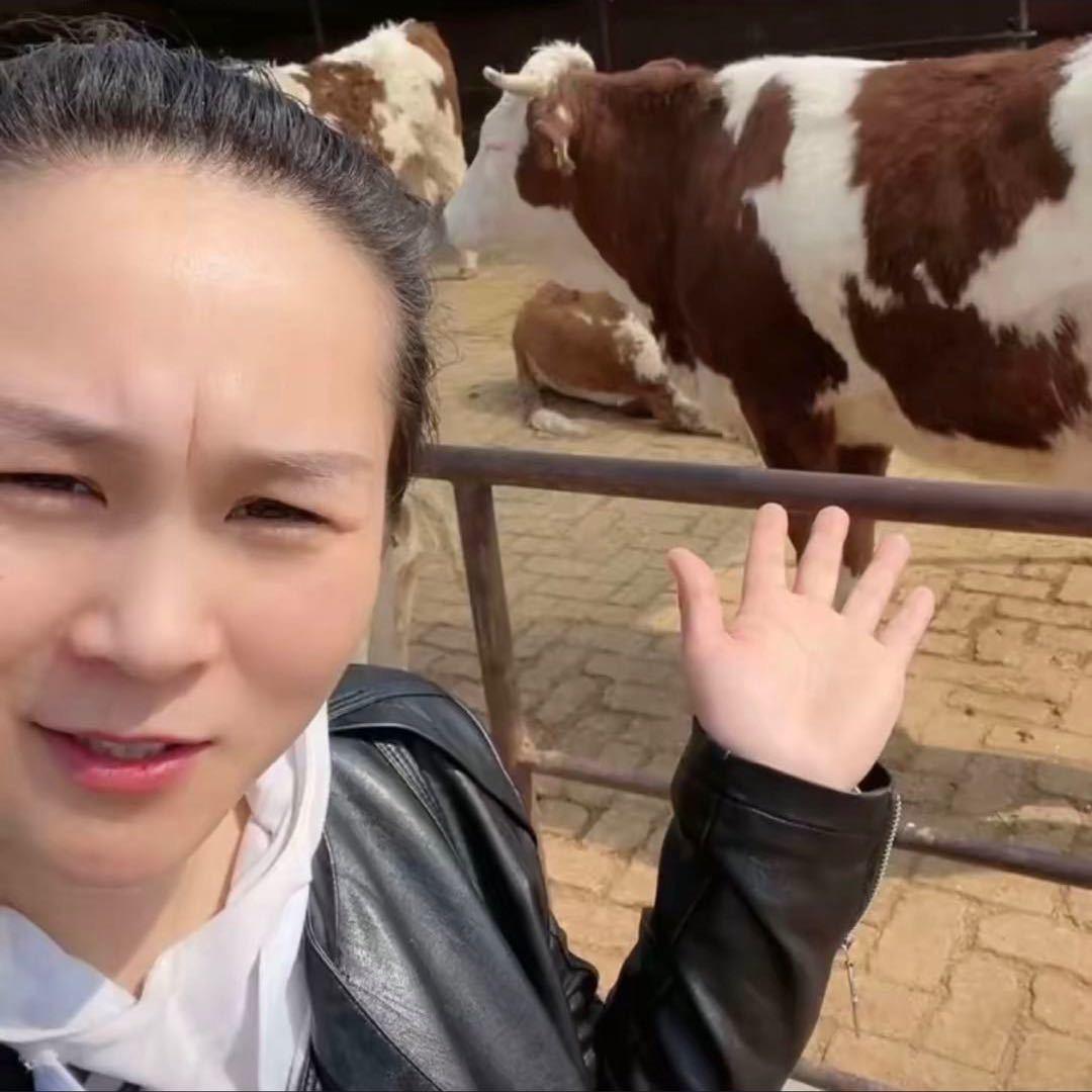 牛小娜品质吉林牛