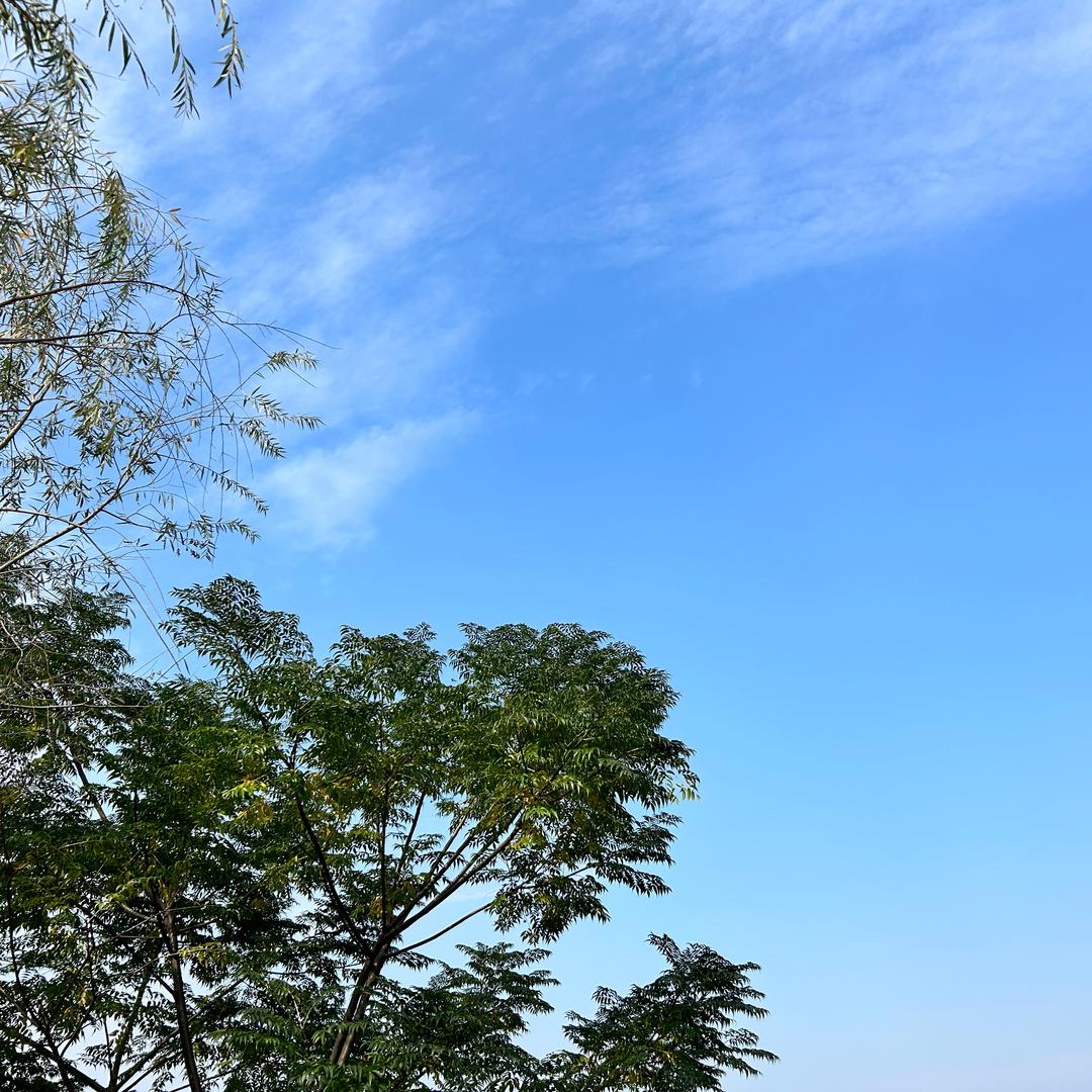 。。。。。。。