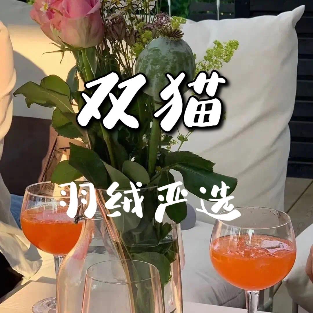 双猫羽绒(只做高端货)