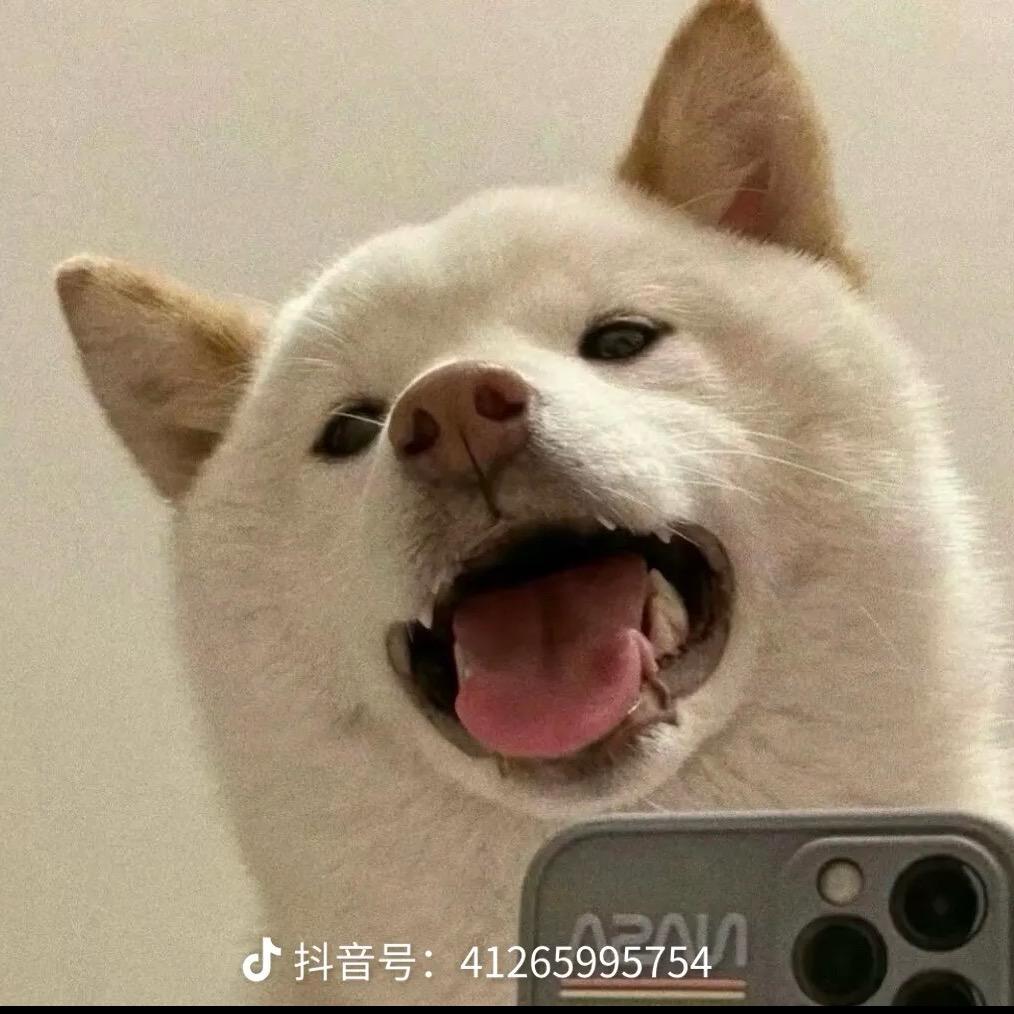 奶油小周