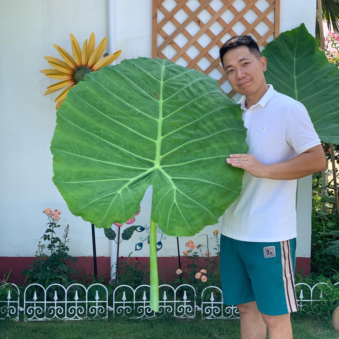 剪刀手阿磊