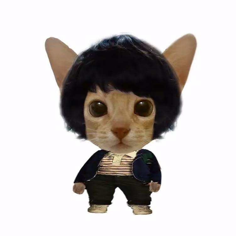 拔戒今天又润了