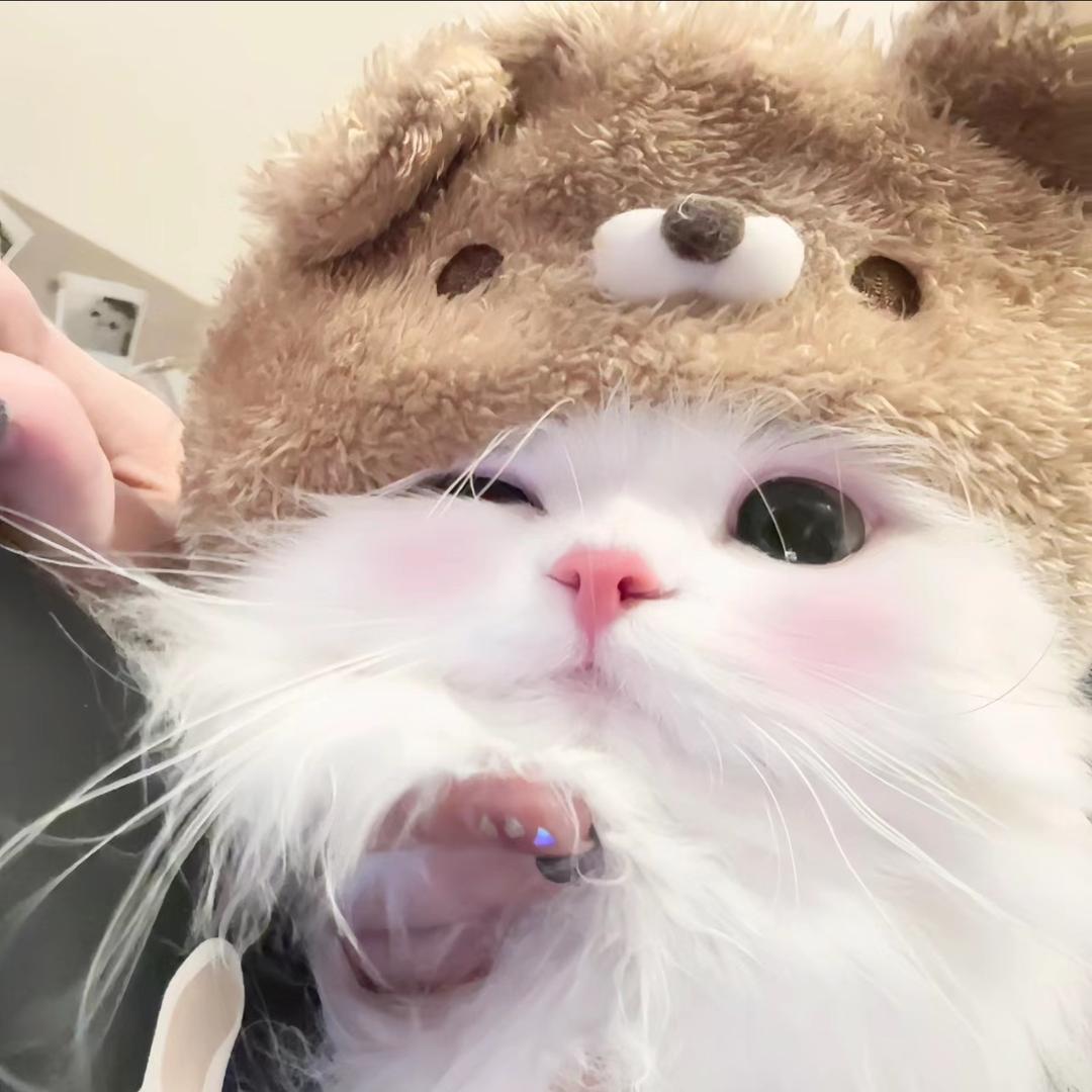 奶茶