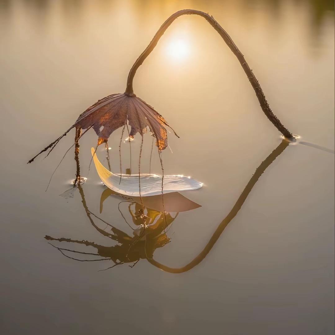 懒懒e