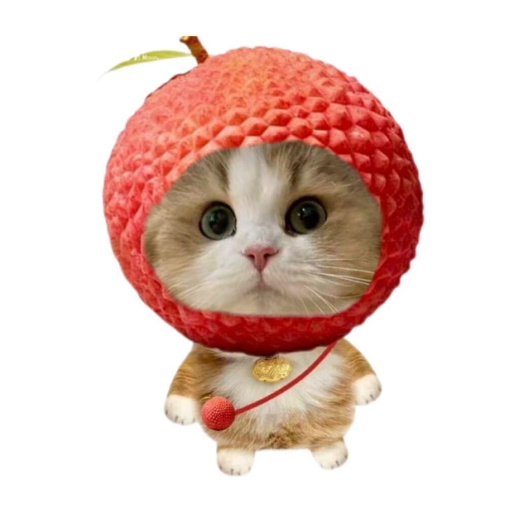 粥粥啦啦啦en🐰