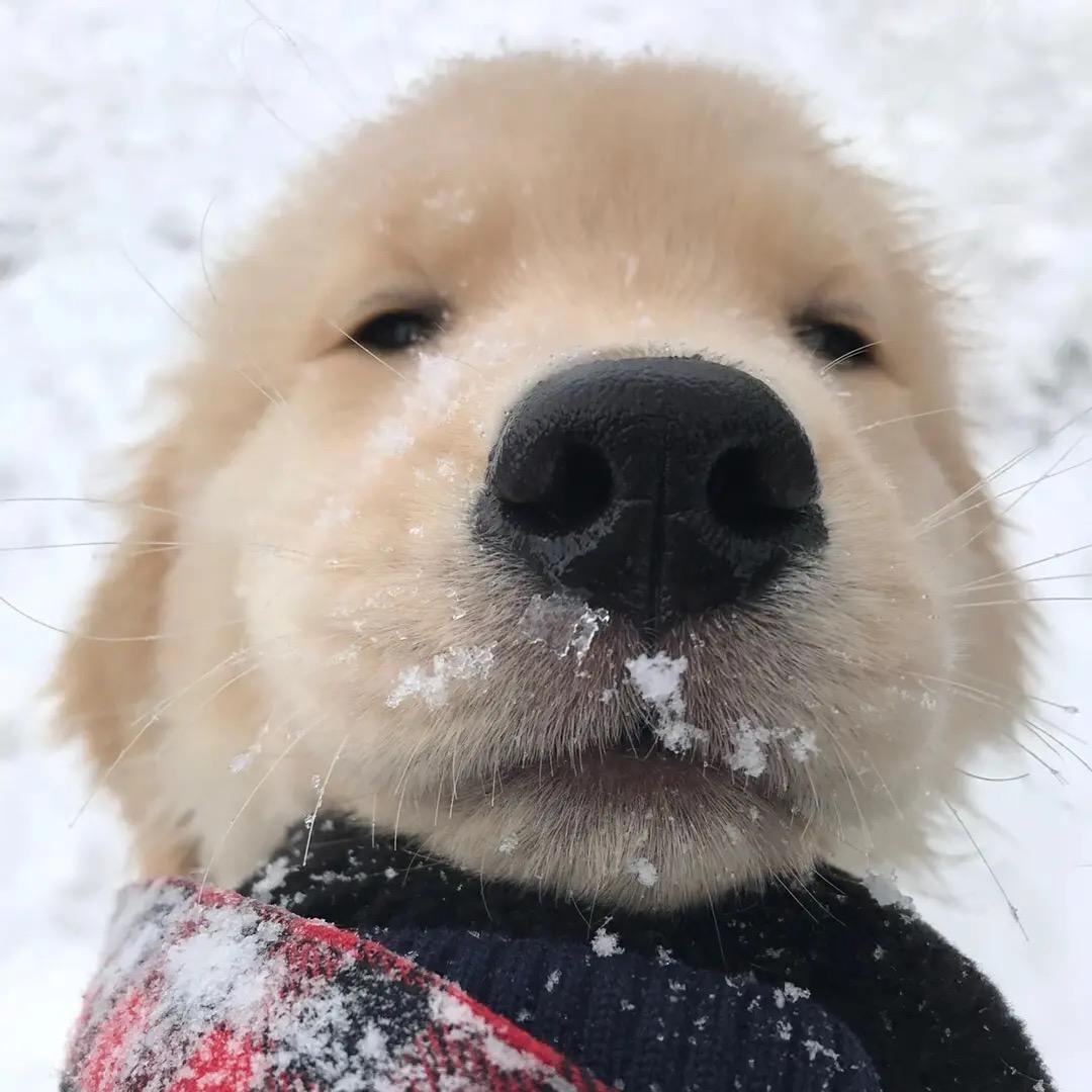 🌈庸人自扰🔥