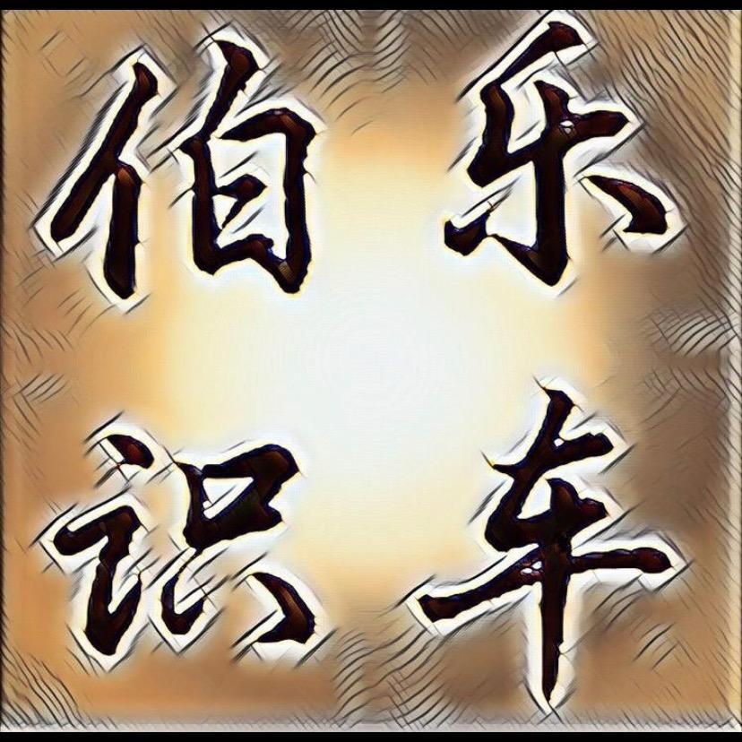 长春伯乐识车