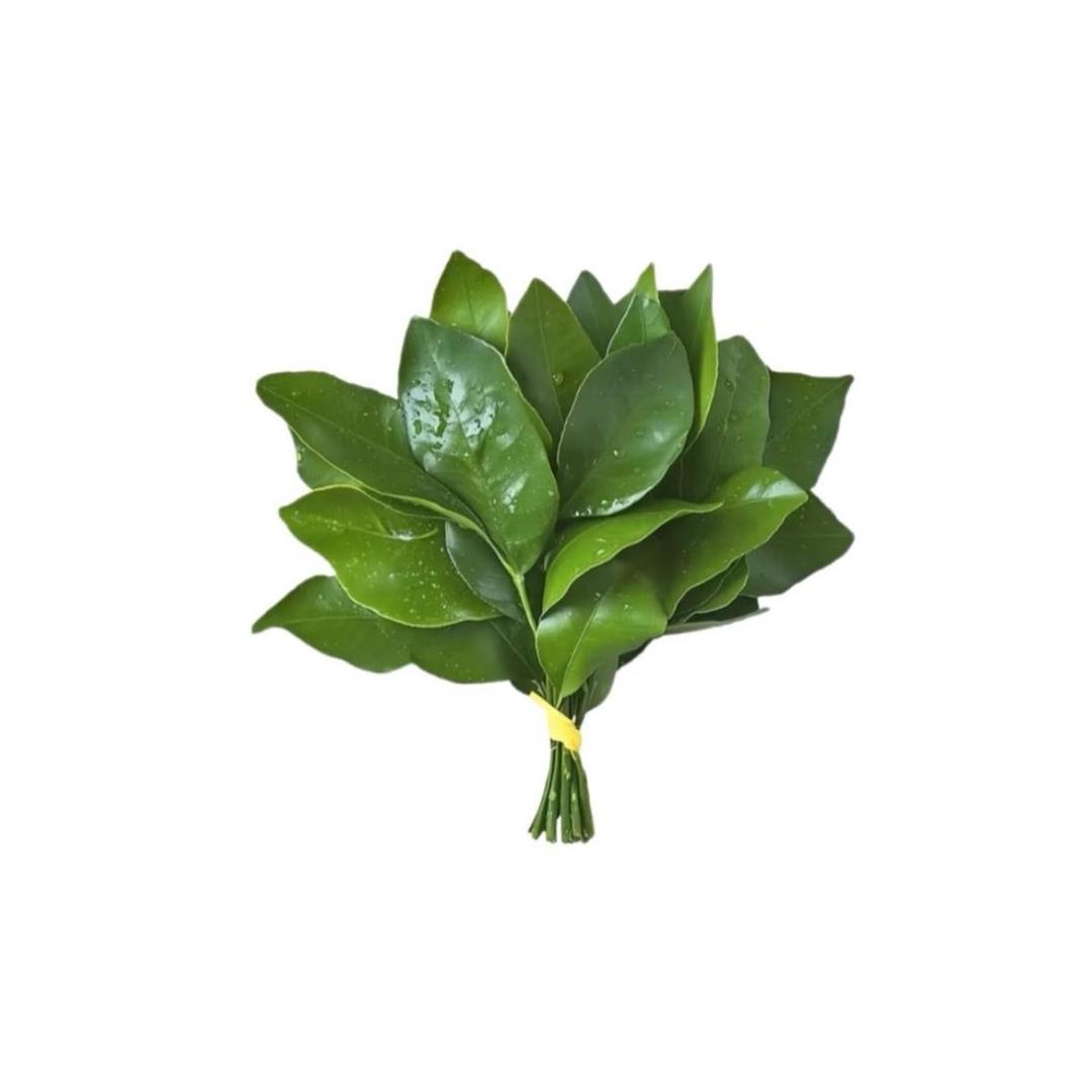 怎么才周三