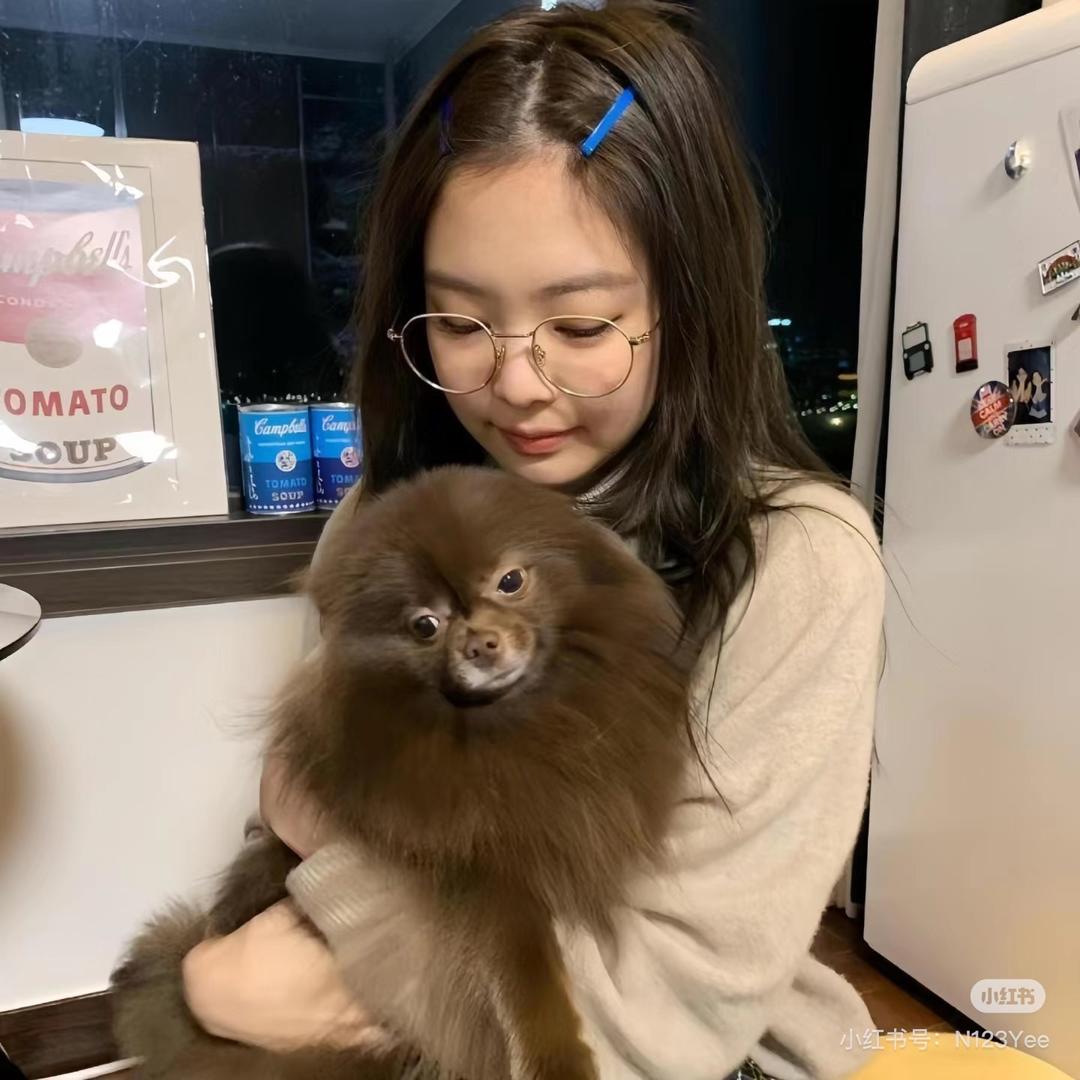 不熬夜的猫💚